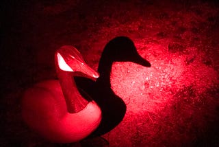 A goose decoy under in the spotlight of a red light in the dark