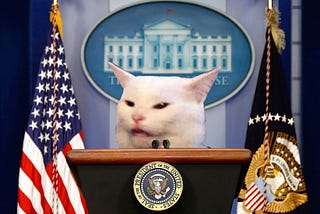 ChatGPT generates campaign ideas for cat presidency