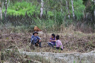 Zooming in: A field inquiry to learn about differentiated practices for sustainable livestock…