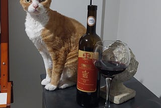 orange cat sitting next to a wine bottle and half glass of wine