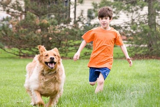 Dogs need a little Freedom! Giving them the space to make decisions