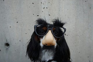 dog wearing a fake nose and glasses