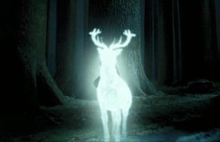 On Perseverance and the Patronus