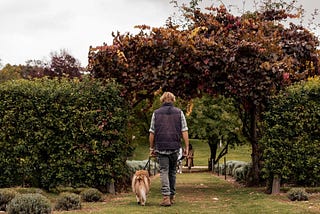 A Guide to Leash Training Your Puppy