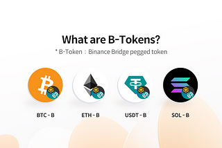 B-Token(Binance Bridge pegged token) 입출금 가이드