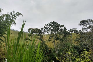 The welcoming of rain