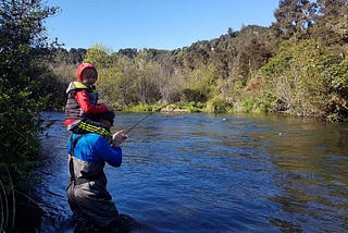 Look At Several Other Factors Than Cost To Hire The Best Fly Fishing Guide In Taupo