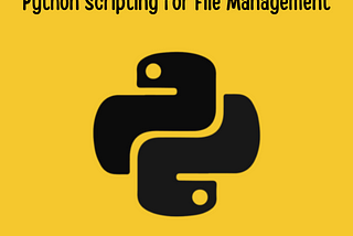 Python Scripting for File Management