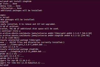 Using Steghide for Hiding and Extracting Data