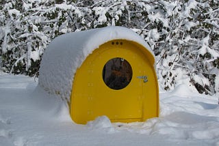 Sheltering the homeless