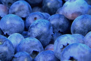 Blueberries (Speed Breeding programmes)