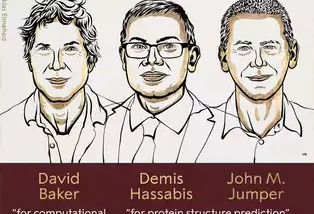 Why the 2024 Nobel Prize in (AI for) Chemistry Matters So Much