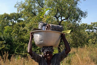 Sommalife — Gladiators of Shea Conservation