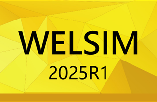 WELSIM has released the 2025R1, supporting molecular dynamics analysis