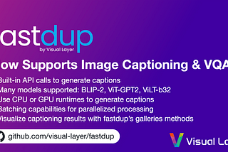 Faster Image Captioning and VQA with fastdup