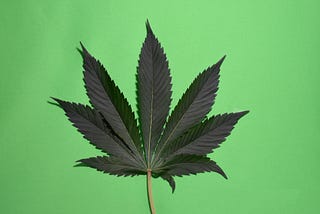 Is CBG the New CBD?