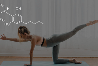cbd for energy and focus