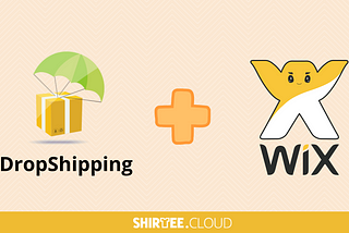 Why is dropshipping so popular with Wix?