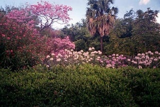 The irony of emotional closeness.