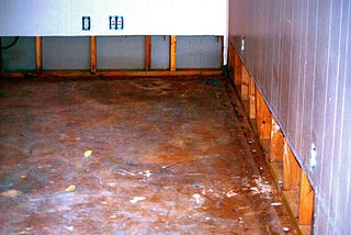 Water Damage Restoration Service in Greenville, SC