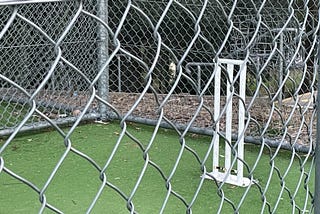 Junior Rule Changes are Driving Kids Away from Cricket.