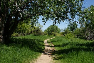 Five Natural Areas Within 2.5 Miles of Old Town Fort Collins to Escape From Your Busy Life.