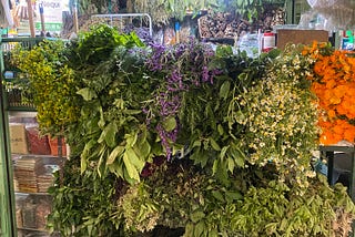 A Pause in Bogotá: Scent Discoveries Amidst Health Challenges