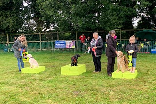 Dog show raising money for veterinary clinic