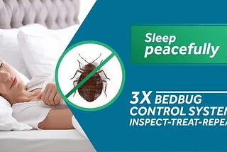 Bed Bugs pest control