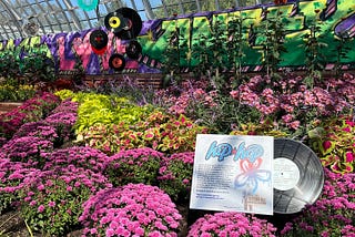Phipps Conservatory’s Rhythm and Blooms
