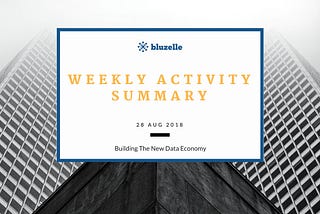 Bluzelle Activity Summary (Aug 28th)