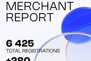 🗓 Monthly Merchant Report