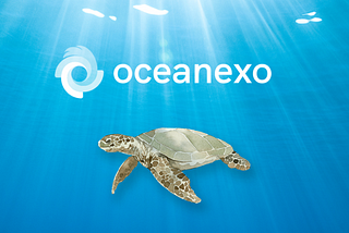 OceanExO | Protect Our Oceans with the Support of Fluid Chains