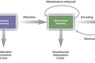 Memory, Improving Concentration & Reading System