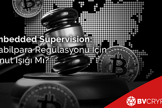 Embedded Supervision: Stabilpara Regülasyonu İçin Umut Işığı Mı?