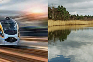 White People: The Speeding Train or the Pond?