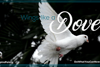 Wings Like a Dove
