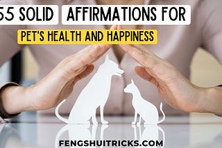 55 Solid Affirmations For Pets Health And Happiness