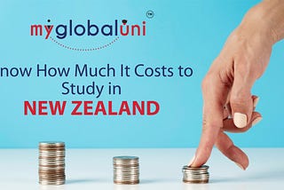 Know How Much It Costs to Study in New Zealand