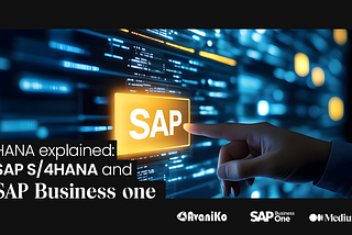 HANA explained: SAP S/4HANA and SAP Business One- Avaniko