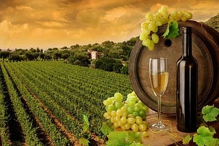 Wine Production Around the World