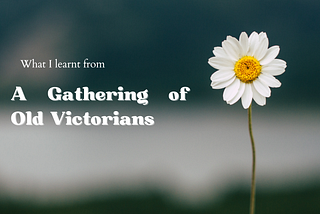 Lessons I learnt at a Gathering of Victorians