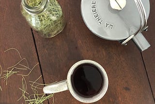 Foraging Your Own Pine Needle Tea