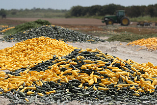 Corona’s Crippling Blow; Food Waste - And How One Start-Up Intends to Stop It