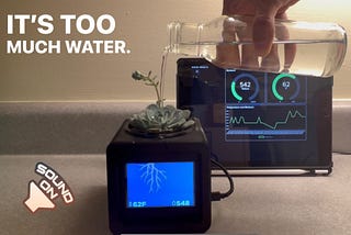 Building an IoT flowerpot from scratch
