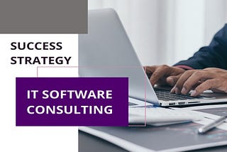 IT Software consulting