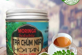 Bán Cây chùm ngây, Hạt chùm ngây, Trà chùm ngây, Bột chùm ngây