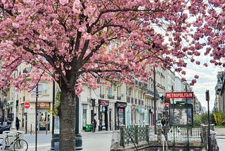 Traveling to Paris in Spring