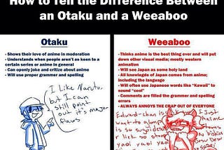 The difference between a weaboo and a otaku