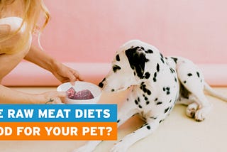 Are Raw Meat Diets Good for Your Pet?